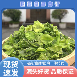 ���x�n�SƬ�n�S�ɟoѬ�������Ȼ���Óˮ�߲����l������؛����