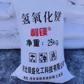 镁氧化物;碳酸盐;其他无机盐