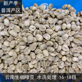 云南小粒咖啡水洗处理卡蒂姆咖啡豆原料批发云南咖啡生豆 16-18目