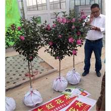 ľȘľȻذľͥԺG̻hʇ箔_