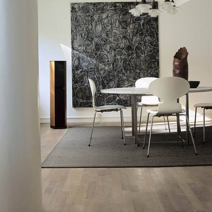 JAMO/Zunbao D590 floor-type fever HIFI class home theater speaker