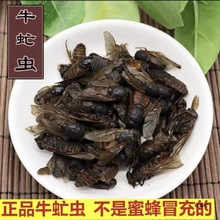 ʳ��ţ��x100g����x��ţ�ţ����ţ�nωϹ��xţ����؛��