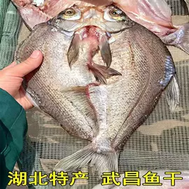 半身裙;腌制水产品;休闲裤
