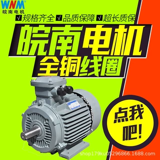 皖南电机YFB3高效率粉尘防爆三相异步电动45kw55kw75kw90kw110kw