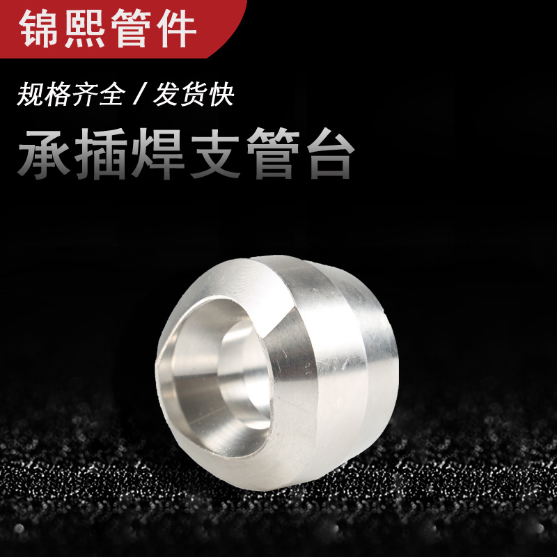 厂家供应 高压管件锻造不锈钢 304/316L/20# 承插焊支管台