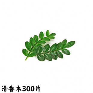 ���l�����bGֲ���r����ľ�����~�ӽ���決������Ʒ�c�Y���ݔ[