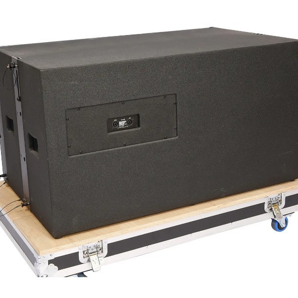 1200W potencia nominal club escenario al aire libre DJ doble 18 pulgadas subwoofer altoparlante de audio profesional