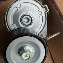 4P10 Ƥ��݆���� ���o������ MK667237