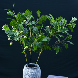 �S��ֱ�N����~�����ָ�ֲ�ﴺ���~����Ҿӿ͏d������ԾGֲ�[��