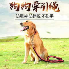 犬の牽引紐P紐ペット犬P鎖首輪犬の鎖の小さい中の大型犬の八本の紐は手で犬の紐を編みます。