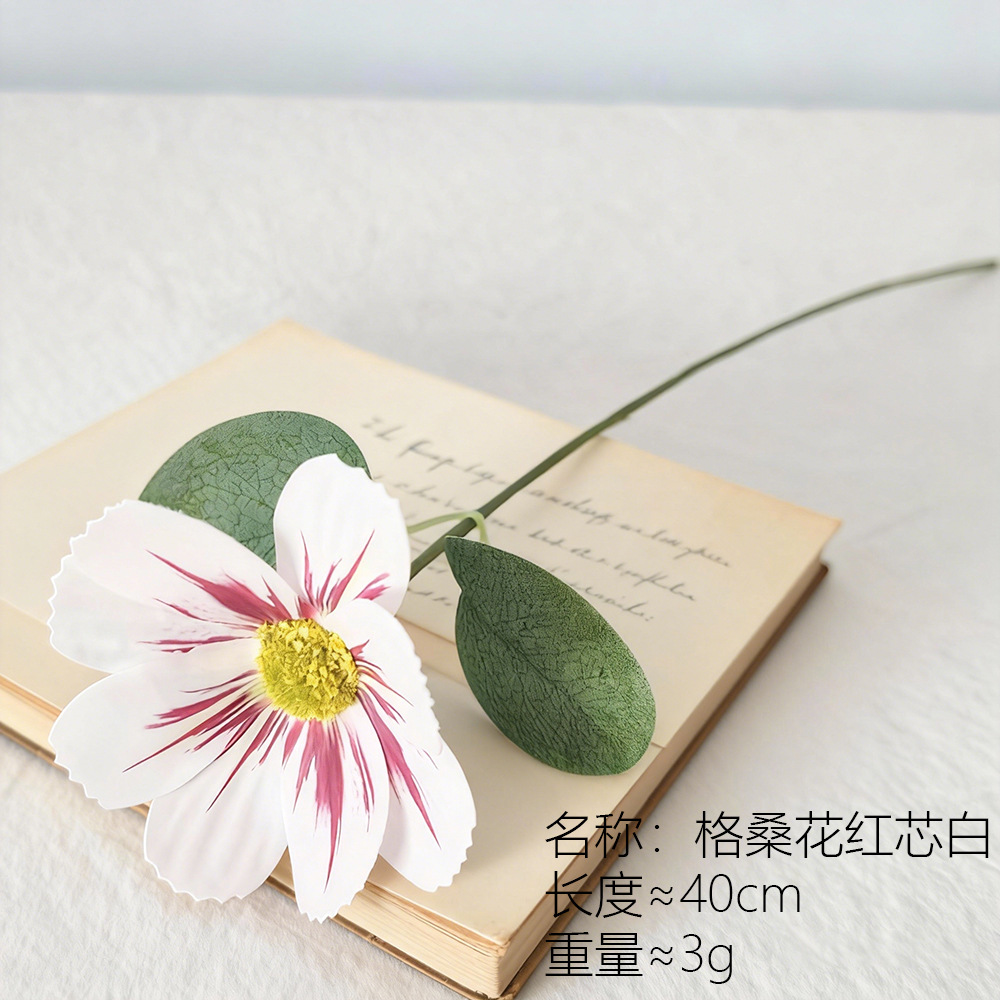 Flor de Gesang Rojo Blanco