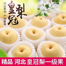 �ӱ��ʹ���10����]�������rˮ������5�ﮔ��ѩ��3��ǴXɽ������