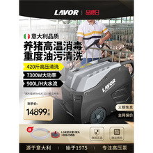 意大利工业高温高压蒸汽清洗机厨房油污热水商用洗车机养殖场杀菌