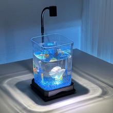 斗鱼缸客厅家用小鱼缸微景观造景塑料透明金鱼缸带灯桌面生态鱼缸
