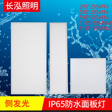 ���ͳ���IP65Ƕ��ʽ�෢���ˮƽ������Ƶ�����