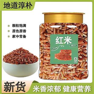 �t�׼t�����r���Ԯa�ּZ�ɴ��������������s�Z�������ʳ