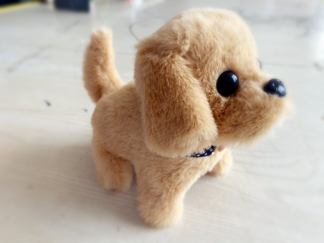 O1CN014EI7w61gwr3av1Ybp_!!2206