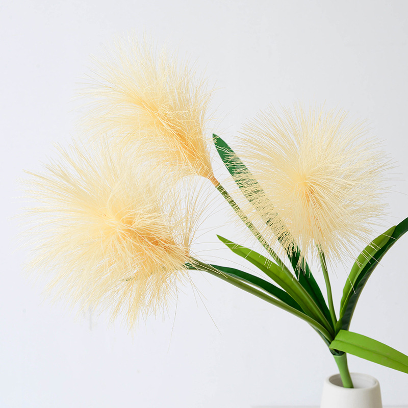 3 heads reed champagne