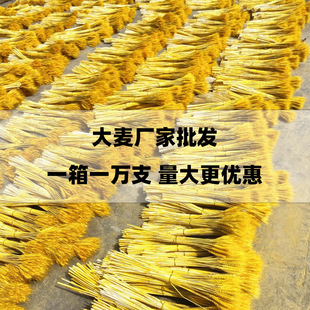 Natural Gold Wheat Ear Barley Dried Flowers bouquet Pastoral Decoration Ornaments New Store Opening Gift Flower Basket bouquet