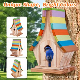 ľ�Ƒ����B�ݲ�ɫ��픑Ғ�ʽ�B������ʳ����ڿ��B�ֳ����B�C