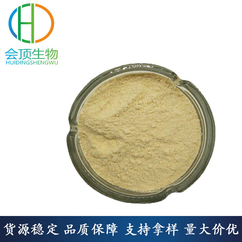 现货供应 酵母浸粉  会顶酵母浸粉 生物发酵 组织培养酵母浸粉