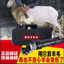 6档调速电动羊毛剪 羊毛推子 动物剪毛机器推子 推羊毛神器