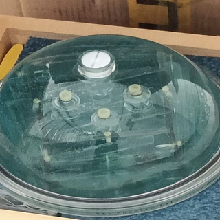 核磁共振成像性能模体