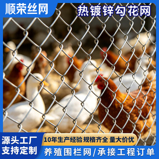 �Bֳ���ھW���ι����W����Ȧ�B���o�W���x�WҎ����ӵV�ù����W