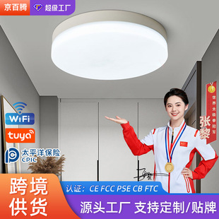 LED intelligent induction ceiling lamp round white human body induction lamp bedroom lamp balcony corridor lamp cross-border manufacturer
