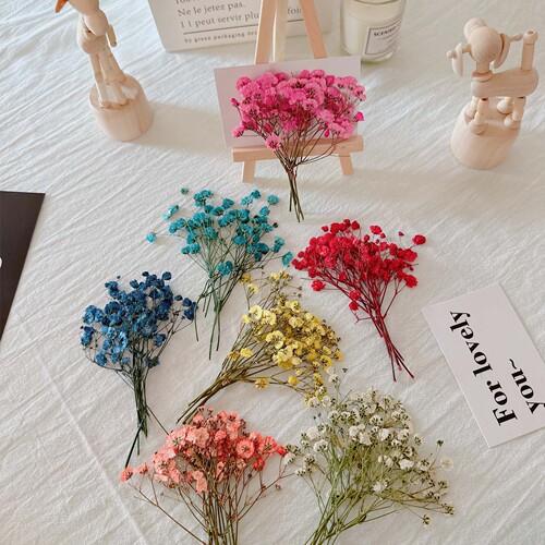 Dried flowers, DIY, embossed, starry sky material bag, photo, petals, bookmarks, real flowers, glue, plant specimens