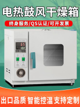 電熱恆溫鼓風干燥箱高溫加熱小型工業烤箱醫用烘干機實驗室烘箱