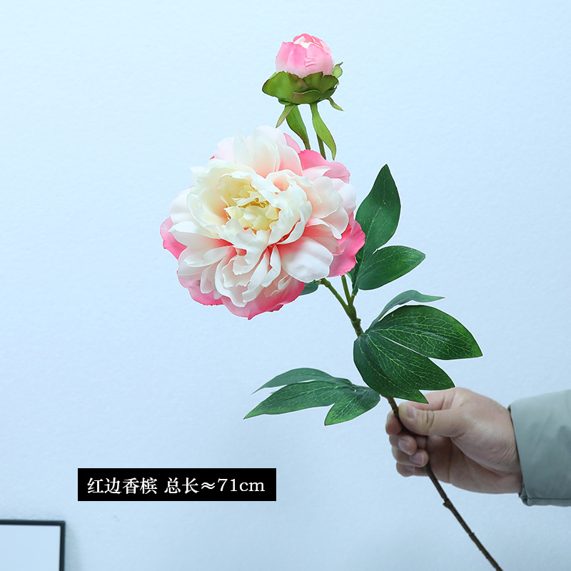 3 # 레드 엣지 샴페인
