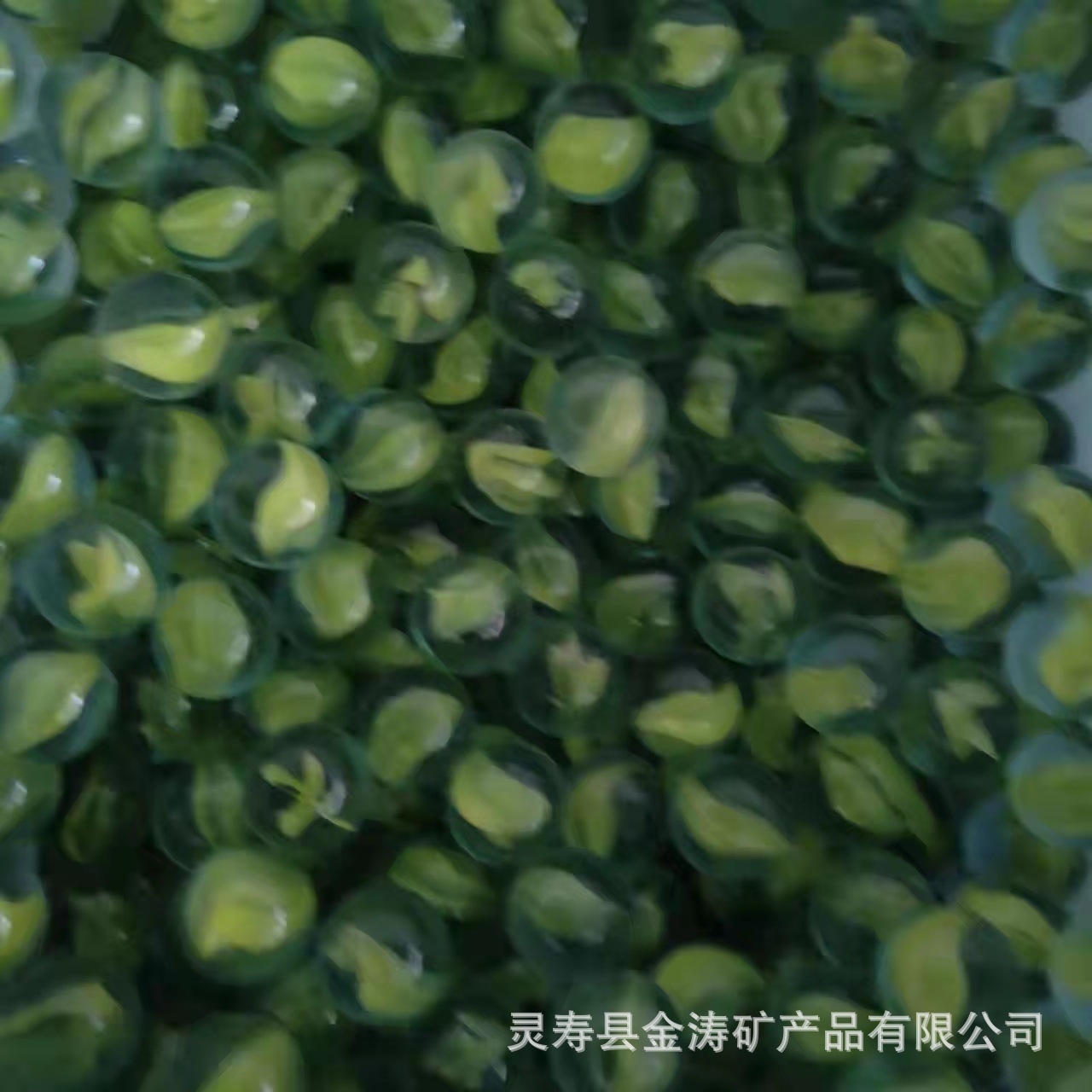 f69f72e538824c3b505f2d7a51e4b2