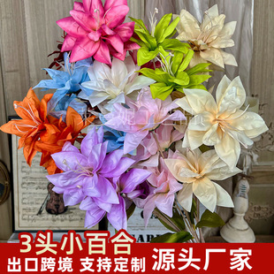 ���滨3�^С�ٺϻ�����c��Y���b���·�����Űٺϻ�ˇ�ٻ�