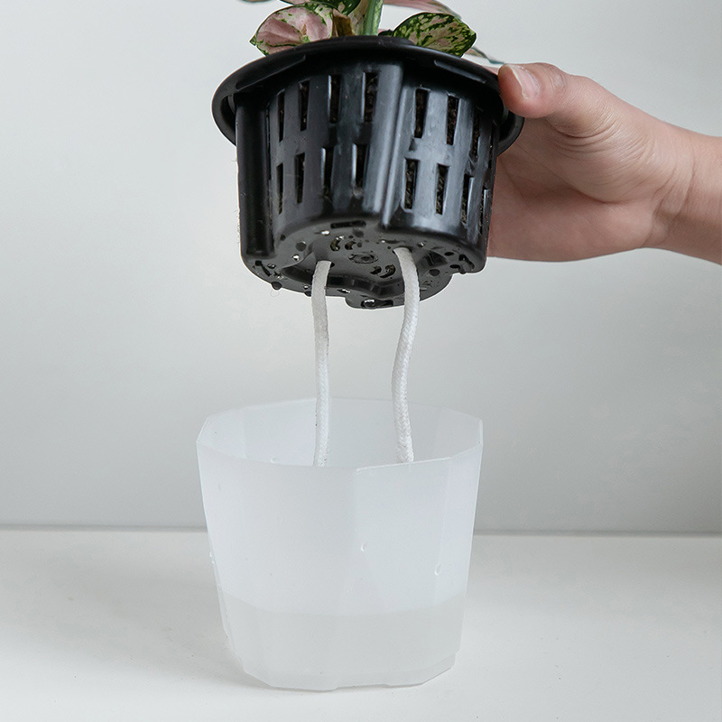 Equipo hidropónico sin suelo, maceta plástica gruesa, cesta para raíces, orquídeas y pothos