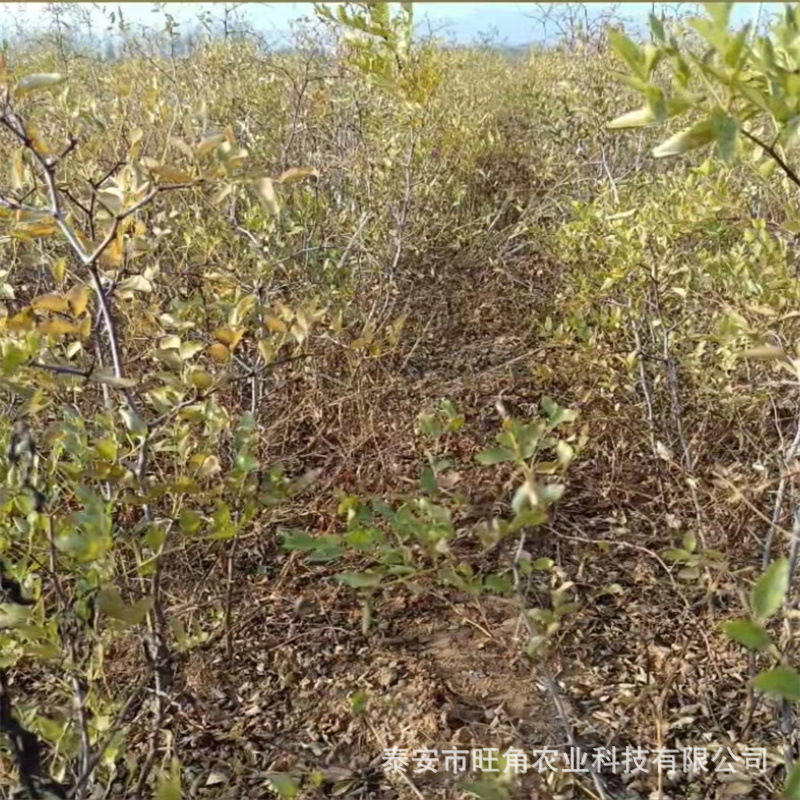 4a0c7dacc5637277c49015f538a7e0