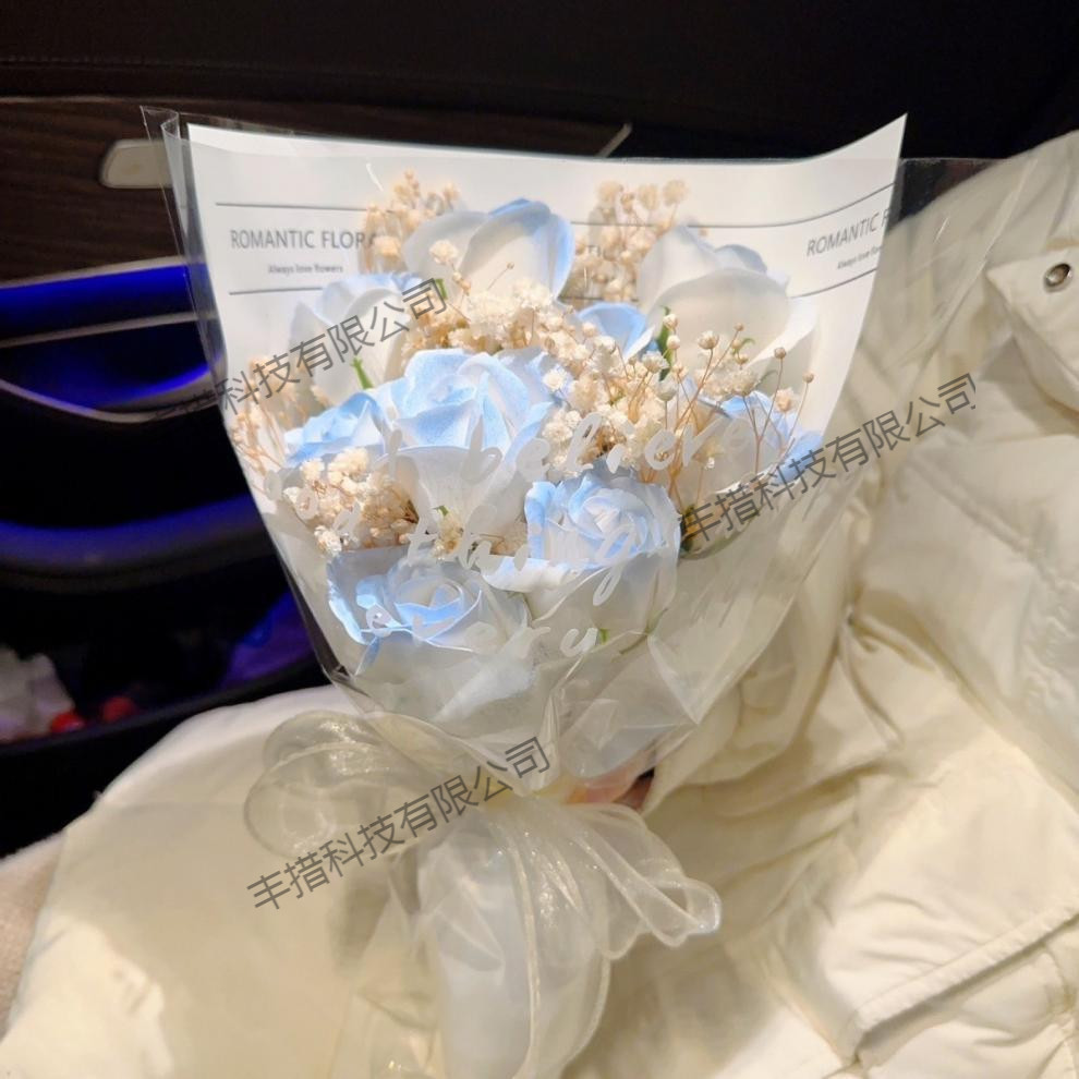 b106dda3-c50d-4685-ac6b-f37bb6f00540.jpe