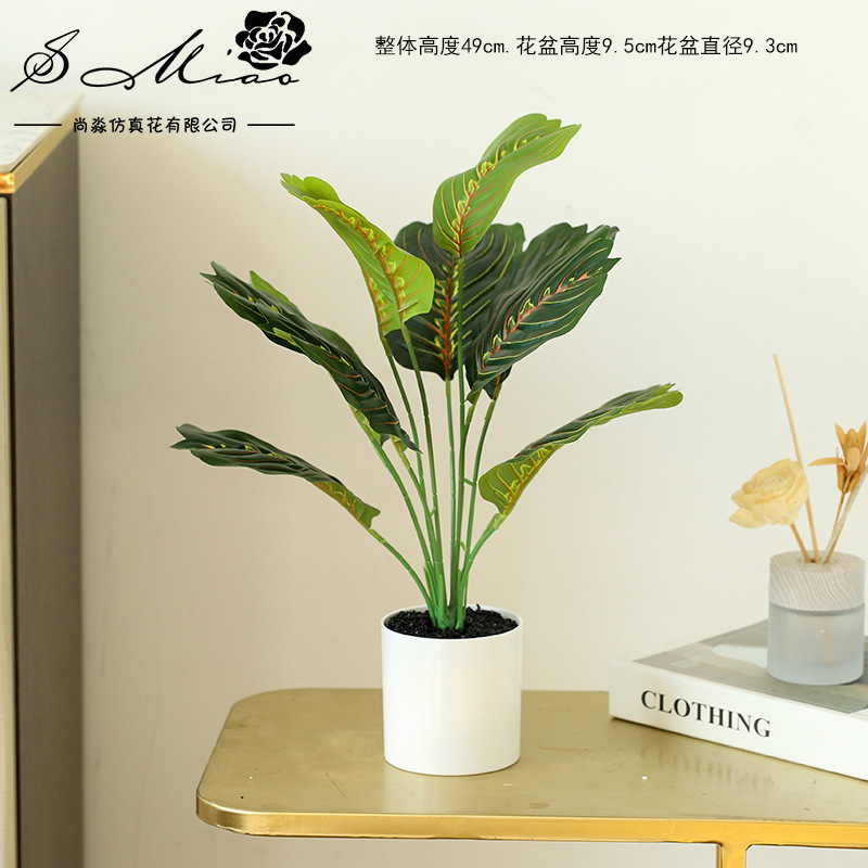 Lago Azul 830928 - 1 Vegetación verde ☆