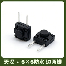 天汉轻触开关按键厂家6*6防水边两脚铜脚2脚按键侧插卧式微动开关