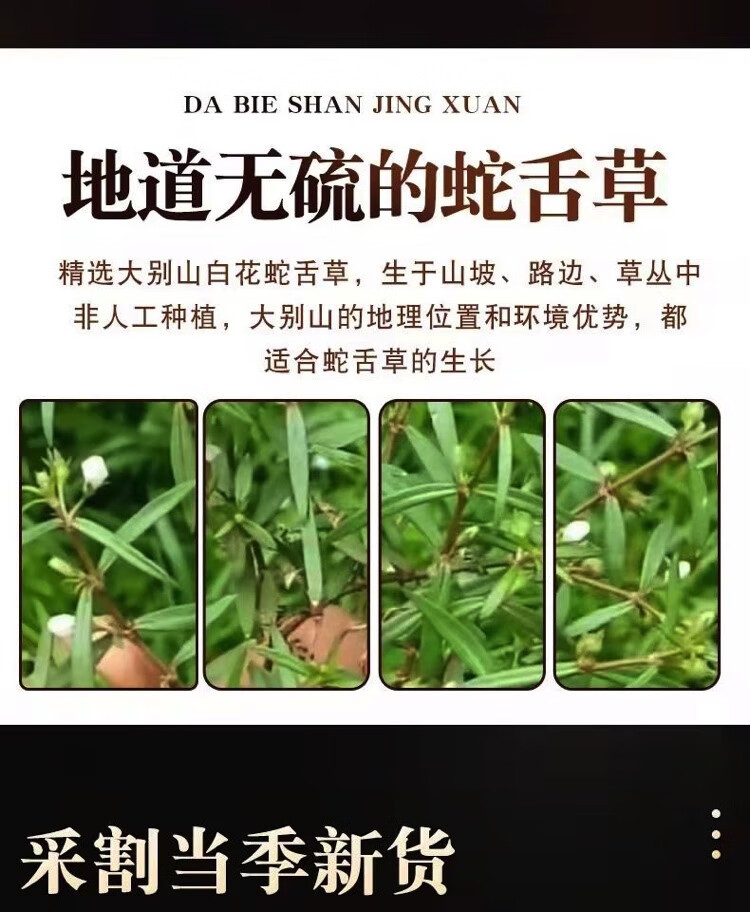 Bai Hua She She Cao Dried Hedyotis Herb 500g Traditional Chinese Herbal Tea Ingredient key features