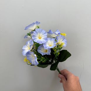 ���栿ţ�����Ȼ�С���»��Ļ��k������@ˇ�����滨�������üٻ�