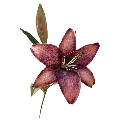 Two-head Lily 3D Printed Single Flower and Bud Simulation Lily Artificial Flower European Retro Wedding Home Photography Floral Arrangement