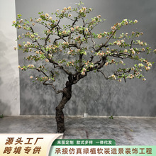 ���u�������ͷ���٘����Gֲ�҃��b��쾰��ؔ[����ʽ���sֲ��