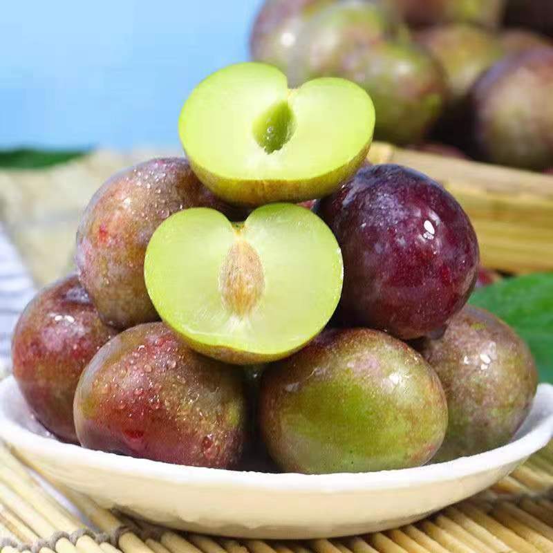 Fresh Boneless Green Plums, Crisp Plums, Seasonal Fresh Fruit, First Crop Green Plums, March Plums, Fruit for Pregnant Women, Dropshipping Available Fresh Boneless Green Plums, Crisp Plums, Seasonal Fresh Fruit, First Crop Green Plums, March Plums, Fruit for Pregnant Women, Dropshipping Available