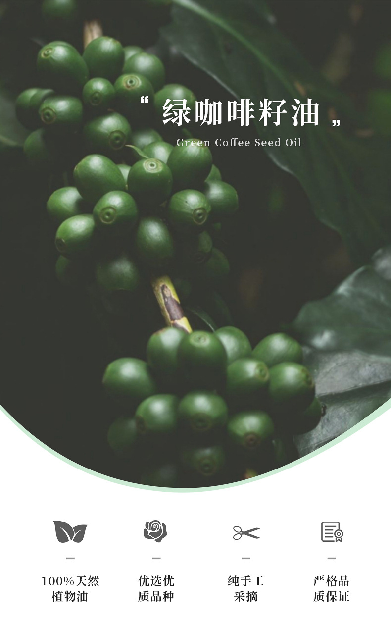 绿咖啡籽油详情页_01.jpg