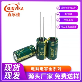 铝电解电容器
