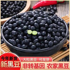 东北新黑豆绿心农家自产黑豆绿色食用粗粮五谷杂粮豆