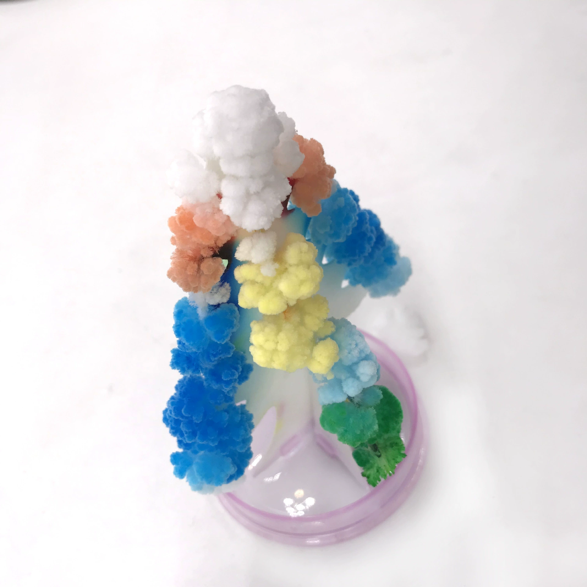 Бумажное дерево цветение среднее волшебное растущее дерево научный эксперимент творческие технологии мелкое производство наука и образование реквизит маленькие игрушки