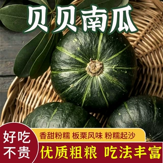 新疆阿克苏贝贝南瓜粉糯香甜入口即化板栗味浓郁 宝宝辅食优选