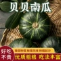 阿克苏新疆宝宝优选南瓜粉